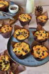 Vanilla Chocochip Muffin